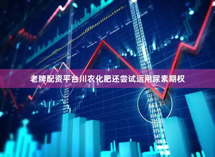 老牌配资平台川农化肥还尝试运用尿素期权