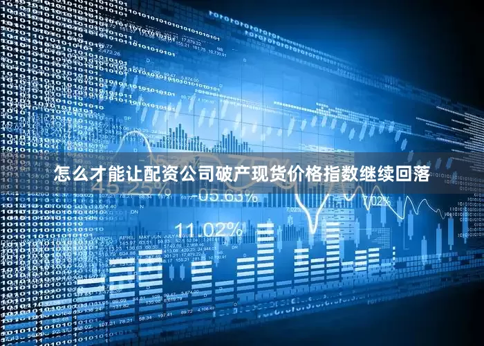 怎么才能让配资公司破产现货价格指数继续回落
