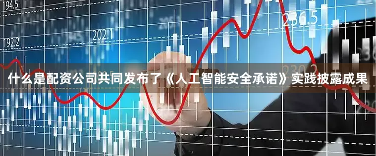 什么是配资公司共同发布了《人工智能安全承诺》实践披露成果