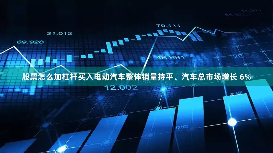 股票怎么加杠杆买入电动汽车整体销量持平、汽车总市场增长 6%