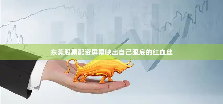 东莞股票配资屏幕映出自己眼底的红血丝